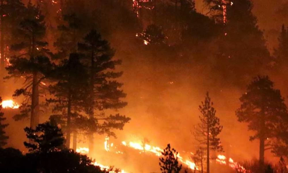 Πυροσβεστική: 72 δασικές πυρκαγιές μέσα σε μία ημέρα